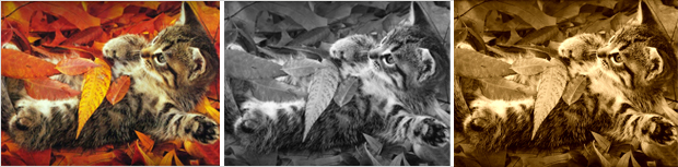 Review of the September Inbox Foto release